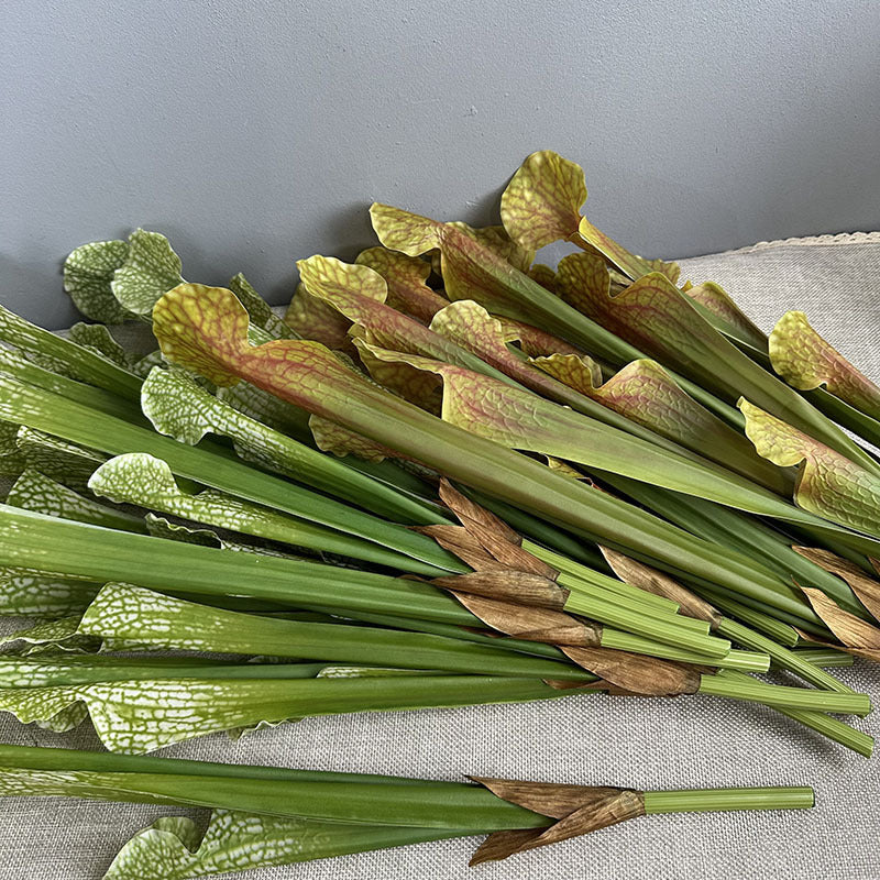 Close up mixed color faux sarracenia pitcher plant bundle realistic botanical detail