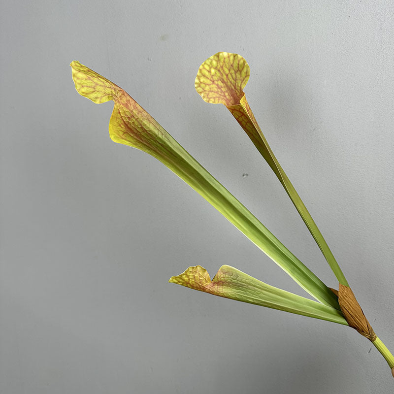 Artificial golden yellow pitcher plant stem 3 pitcher faux sarracenia 51cm