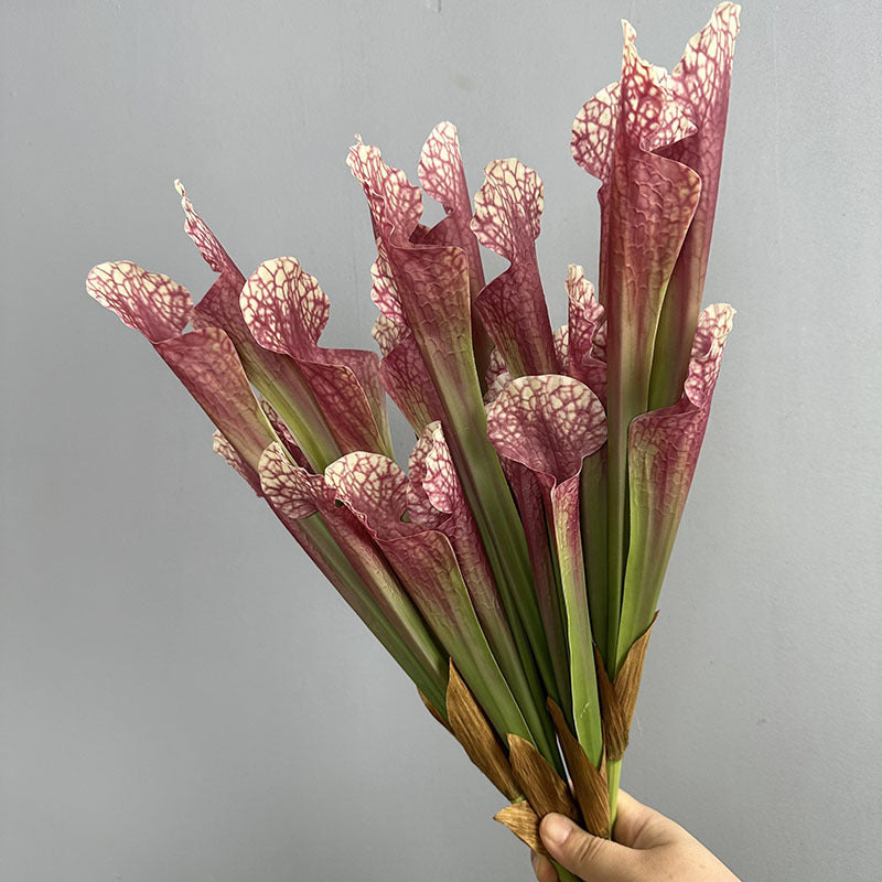 Artificial pitcher plant bundle 5 faux sarracenia stems wine red 44cm moody decor