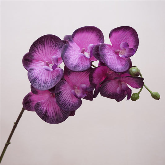 Artificial European-Style Phalaenopsis Orchids | 87cm Realistic 7-Head Hydrating Touch Orchid Stem | Deep Purple