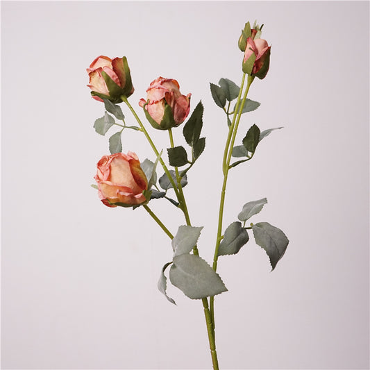 Artificial Angora Roses | Vintage Dry Flower Look | 5-Head 66cm H Dusty Blush