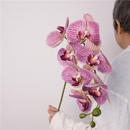 Artificial European-Style Phalaenopsis Orchids | 87cm Realistic 7-Head Hydrating Touch Orchid Stem | Lavender Pink