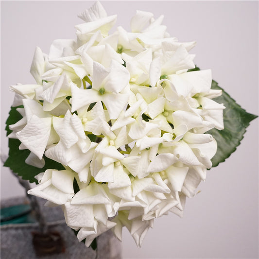 Artificial Dutch Hydrangea with Leaves | 63cm Realistic Soft-Touch Hydrangea Stem | Single Stem Pure White