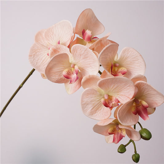 Artificial European-Style Phalaenopsis Orchids | 87cm Realistic 7-Head Hydrating Touch Orchid Stem | Champagne Pink