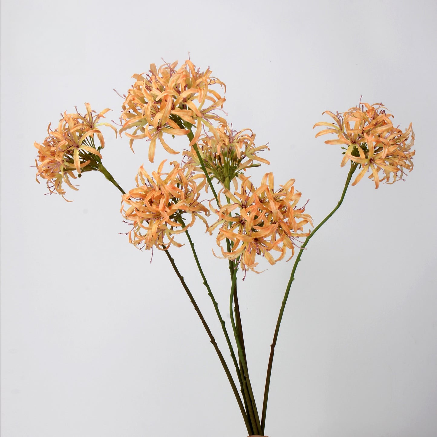 Artificial Agapanthus Stem | Premium Silk Real Touch Flower | 78cm Tall Orange