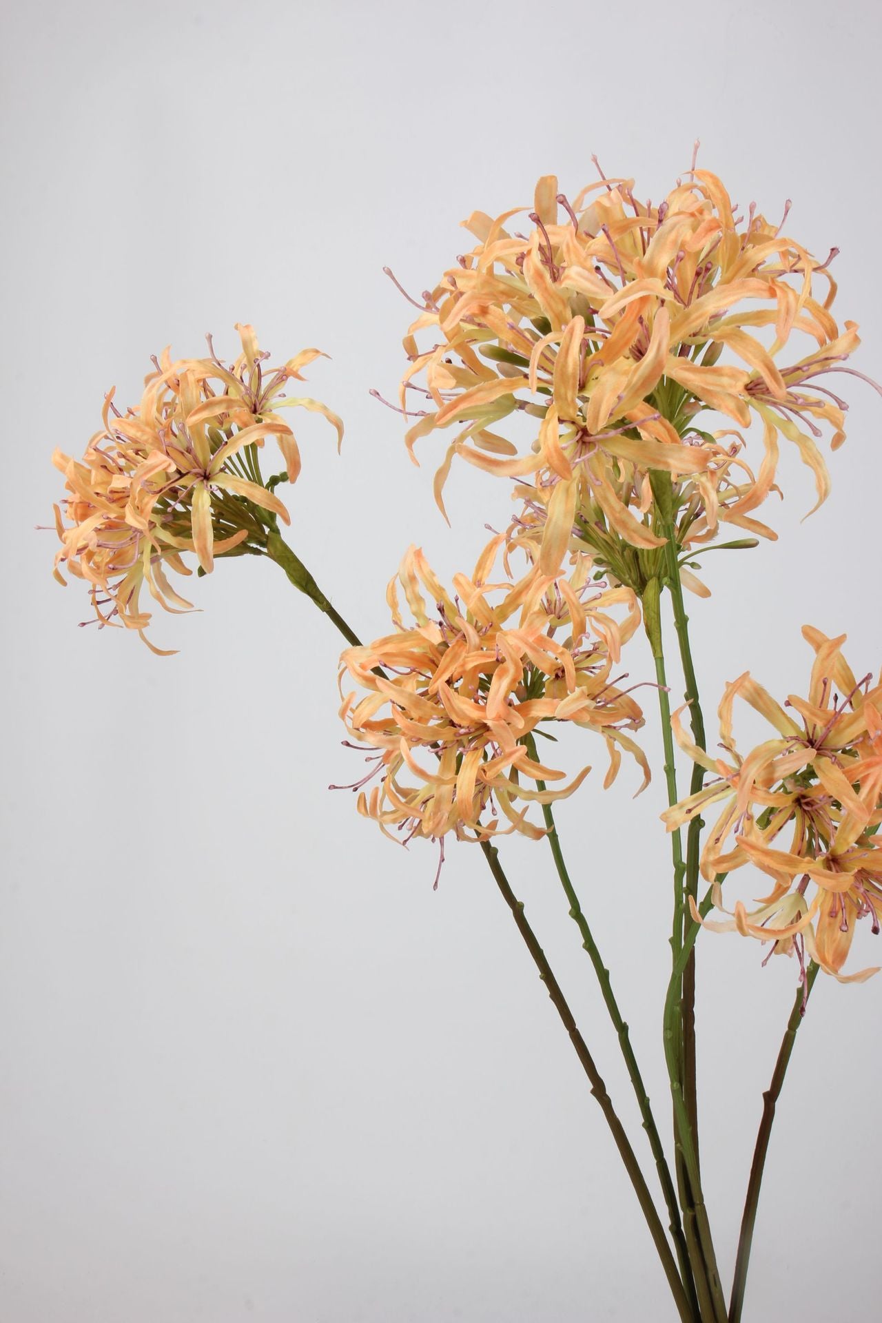 Artificial Agapanthus Stem | Premium Silk Real Touch Flower | 78cm Tall Orange