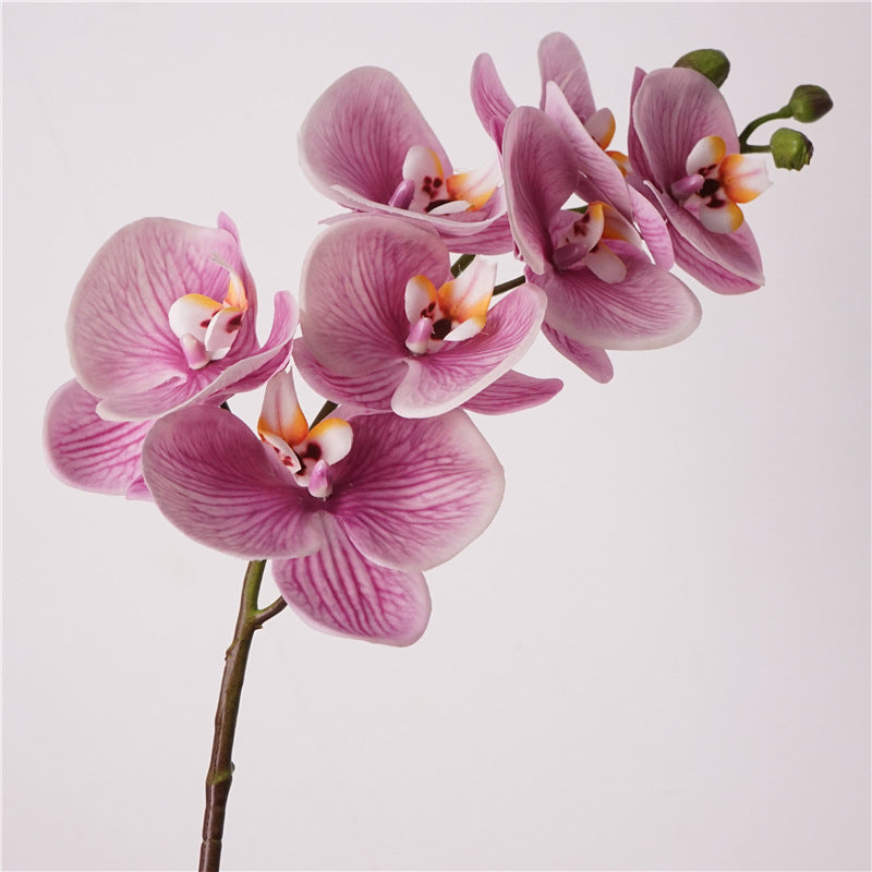Artificial European-Style Phalaenopsis Orchids | 87cm Realistic 7-Head Hydrating Touch Orchid Stem | Lavender Pink