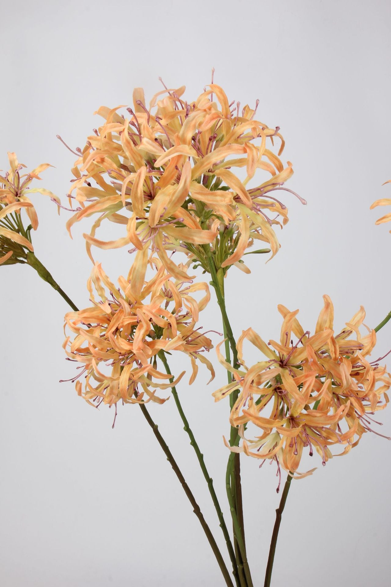 Artificial Agapanthus Stem | Premium Silk Real Touch Flower | 78cm Tall Orange