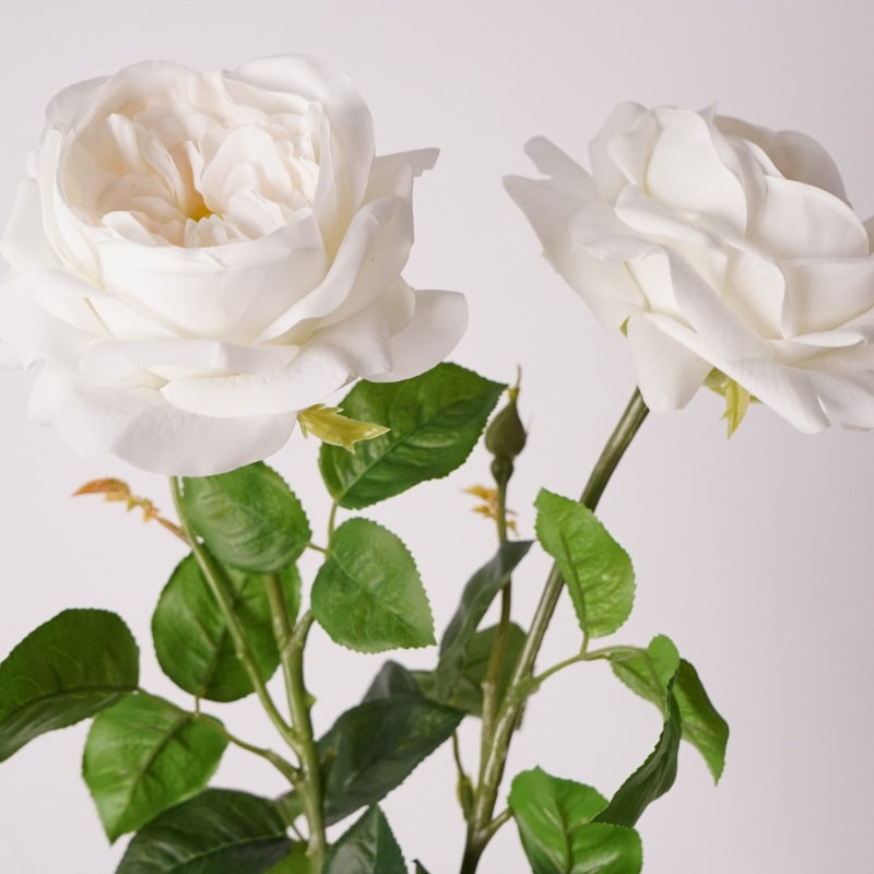 Artificial Juliet Rose | Real-Touch Hydrating Fabric | 69cm H Cream White