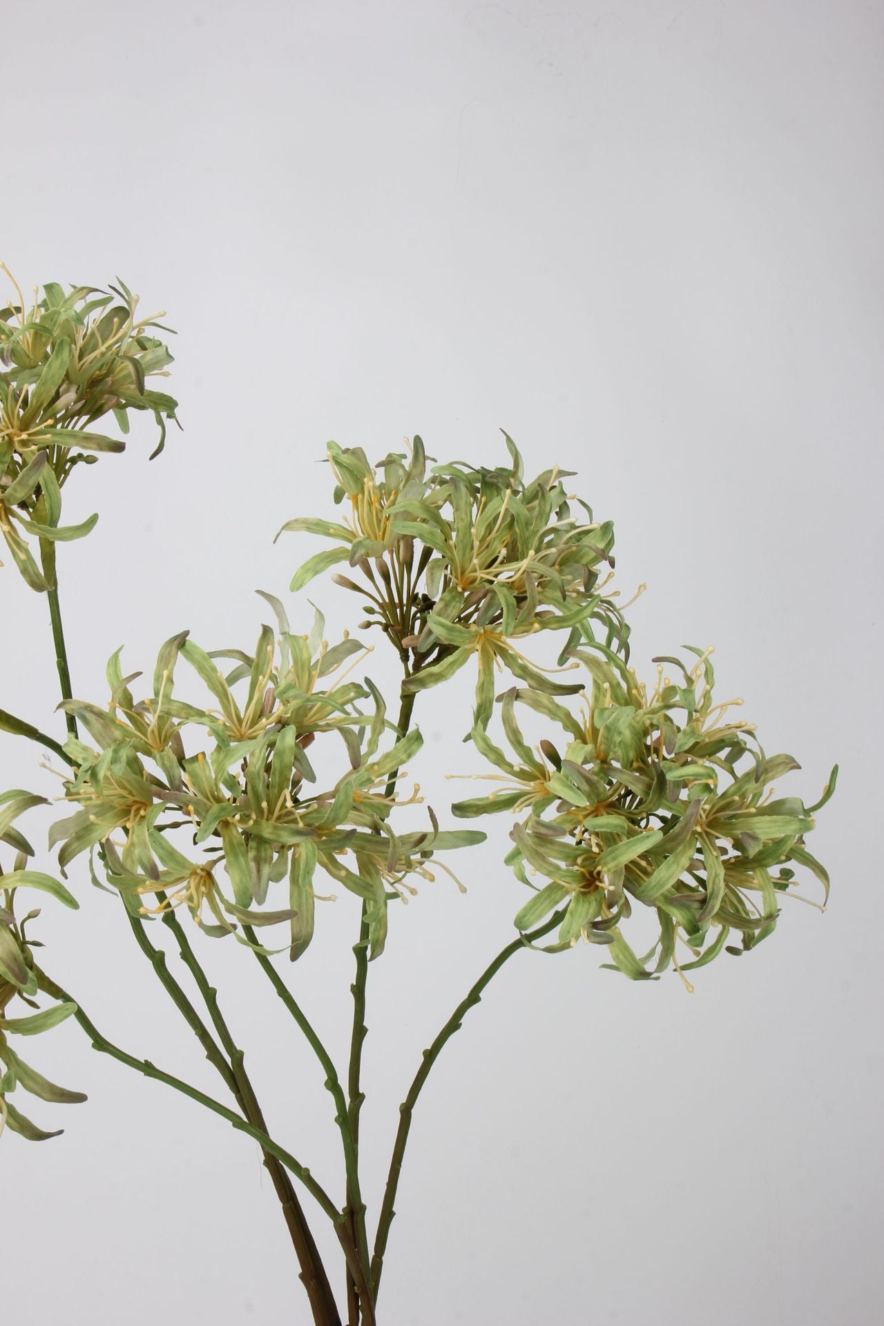 Artificial Agapanthus Stem | Premium Silk Real Touch Flower | 78cm Tall Green