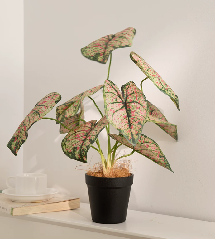 Artificial caladium plant pot red splash faux taro leaf 40cm tropical home decor