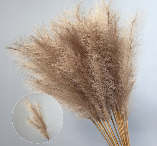 Artificial 5-Branched Reed Stems | 93cm H Set of 3 | Coffee Brown