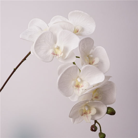 Artificial European-Style Phalaenopsis Orchids | 87cm Realistic 7-Head Hydrating Touch Orchid Stem | Classic White
